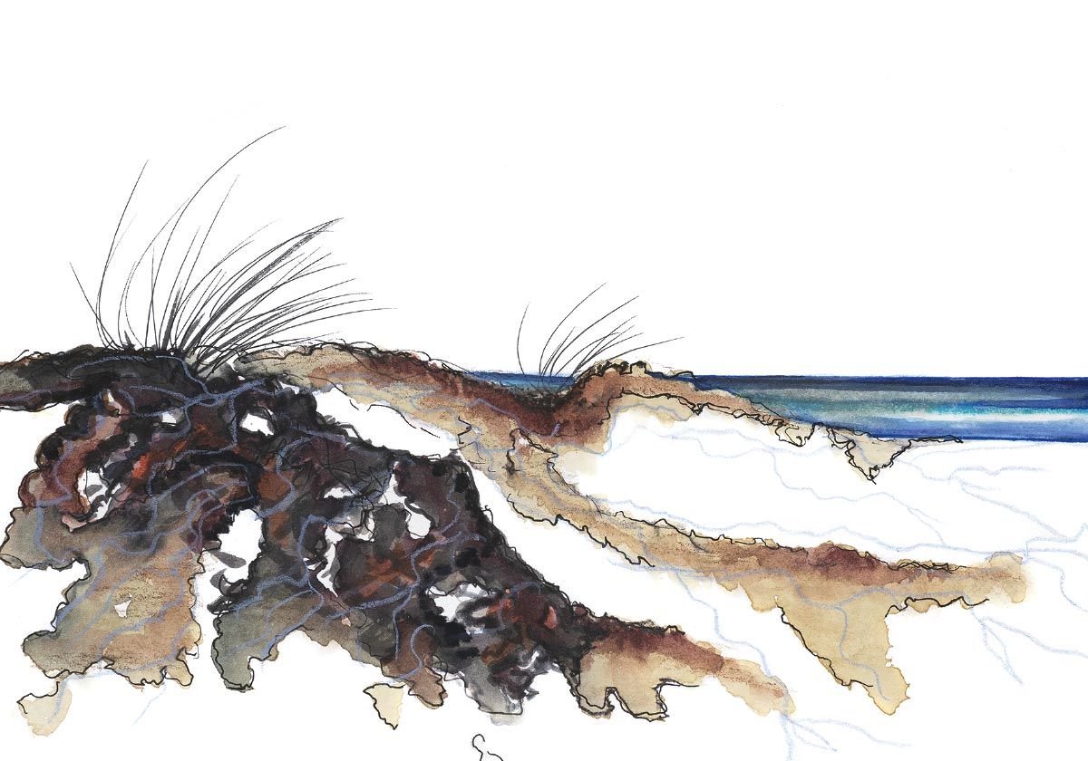 Philippe Quoturel : carte postale "Le petit monde des Opilants" série 3 (2021)