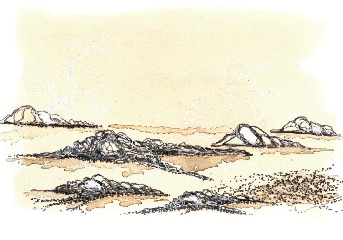 Philippe Quoturel : carte postale "Le petit monde des Opilants" série 4 (2024)