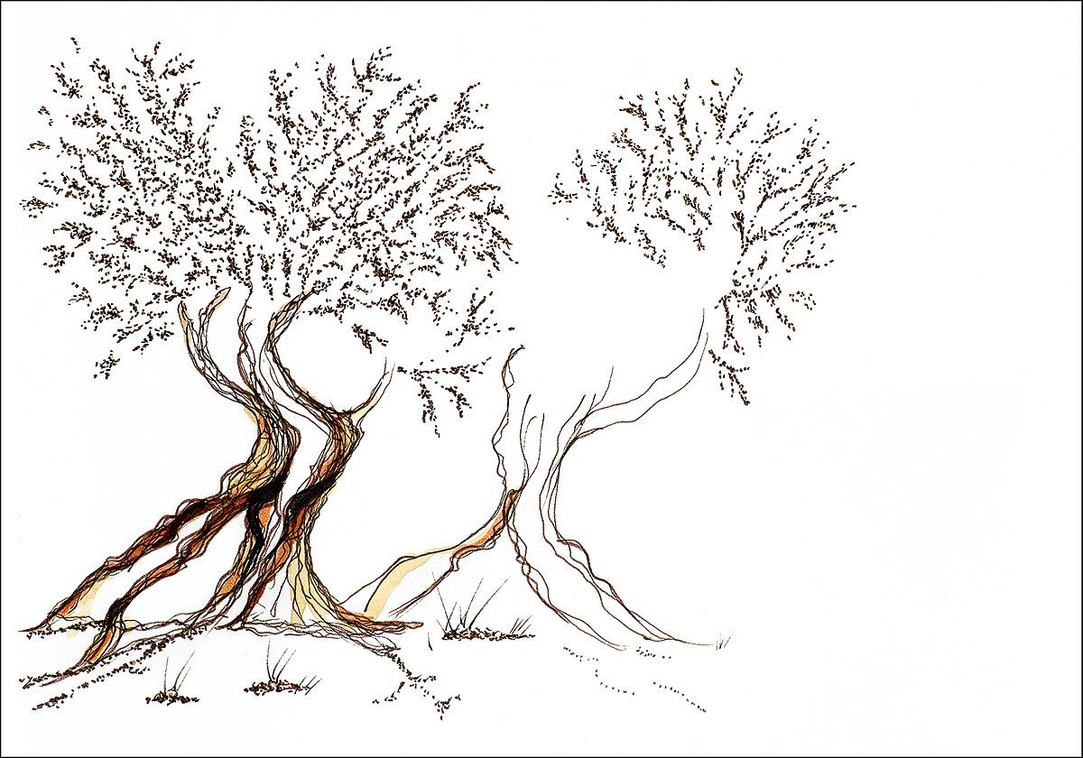 Philippe Quoturel : carte postale "Le petit monde des Opilants" série 2 (2019)