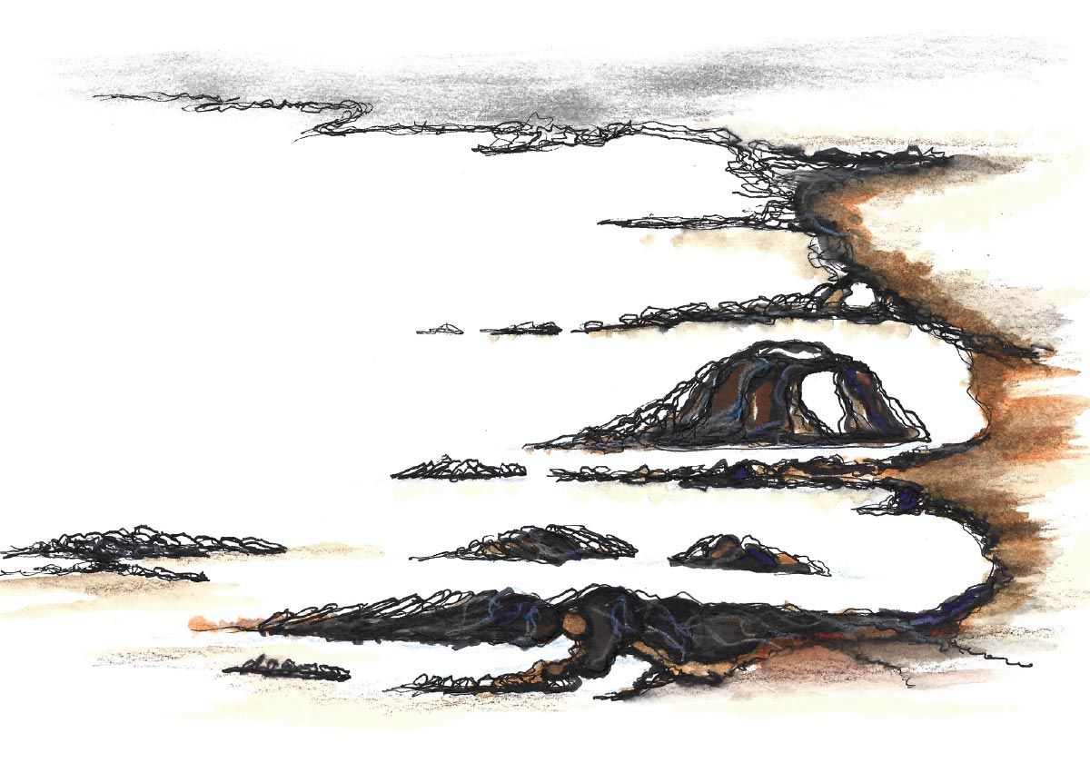 Philippe Quoturel : carte postale "Le petit monde des Opilants" série 4 (2024)