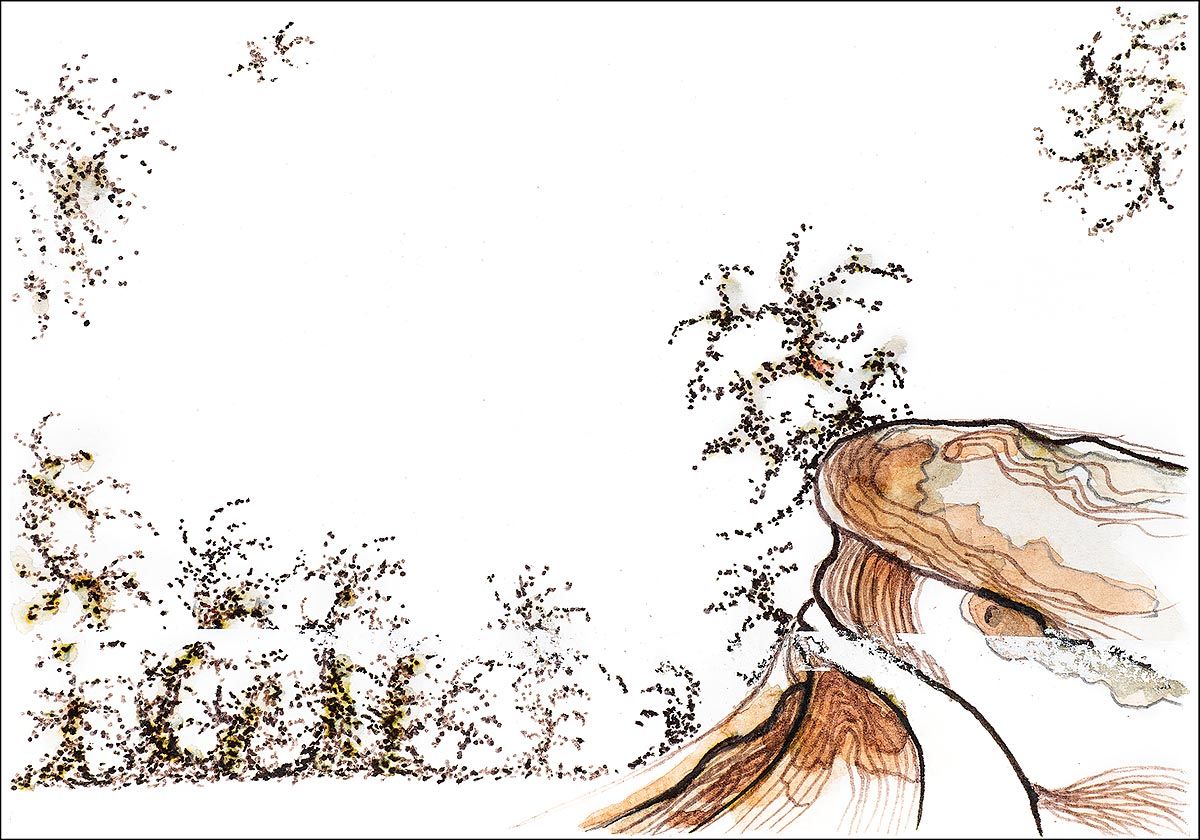 Philippe Quoturel : carte postale "Le petit monde des Opilants" série 2 (2019)