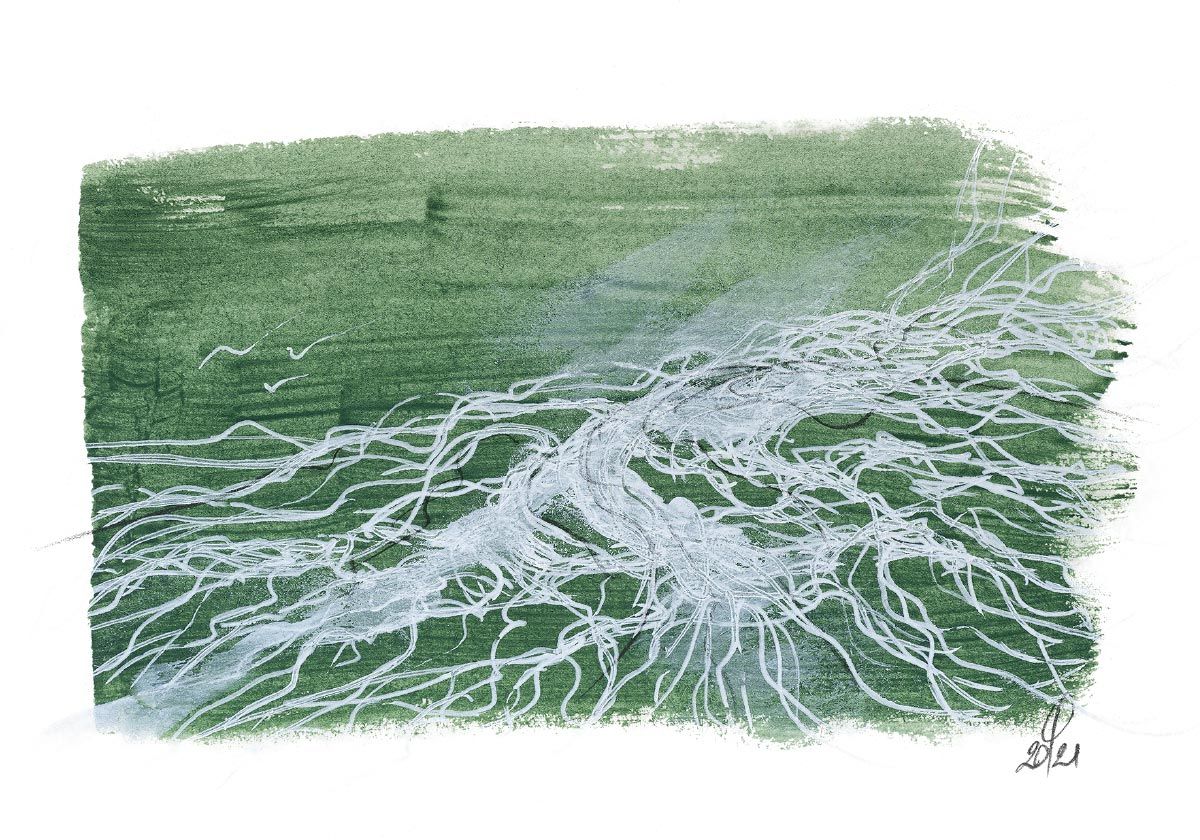 Philippe Quoturel : carte postale "Le petit monde des Opilants" série 3 (2021)