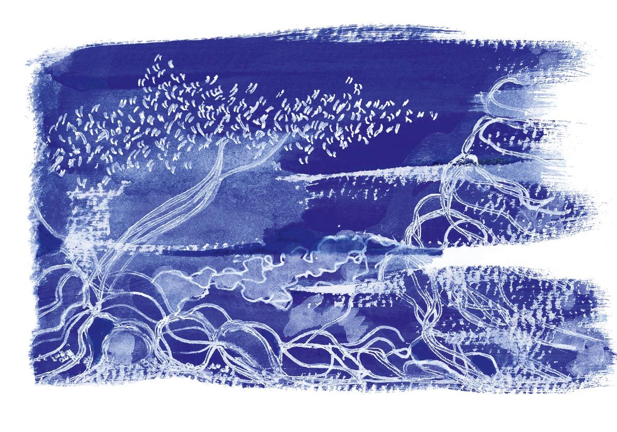 Philippe Quoturel : carte postale "Le petit monde des Opilants" série 3 (2021)